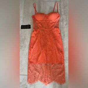 BEBE  Coral Lace Slip Dress 8